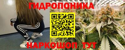 шишки Гусь-Хрустальный