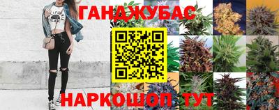 молекула духа Гусиноозёрск
