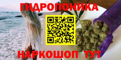 ALPHA PVP Гусев