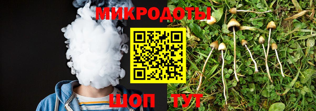 Псилоцибиновые грибы Psilocybine cubensis  хочу наркоту  Нижнекамск  Вход с VPN 