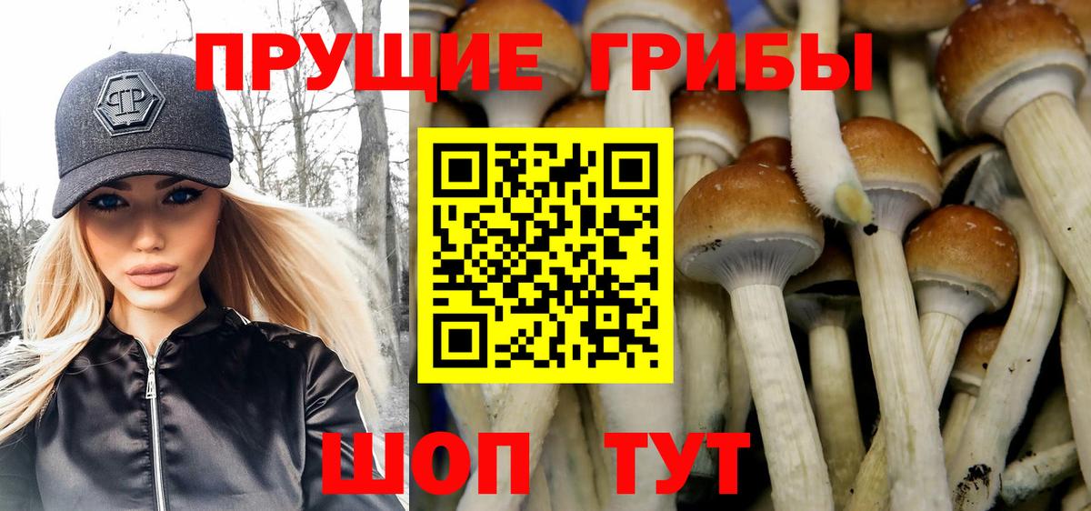 Галлюциногенные грибы Psilocybine cubensis Нижнекамск